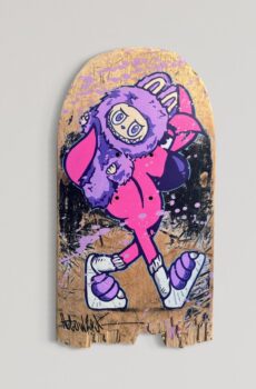 Skate « STELESANG » N*28