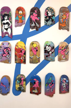 Planches de Skate